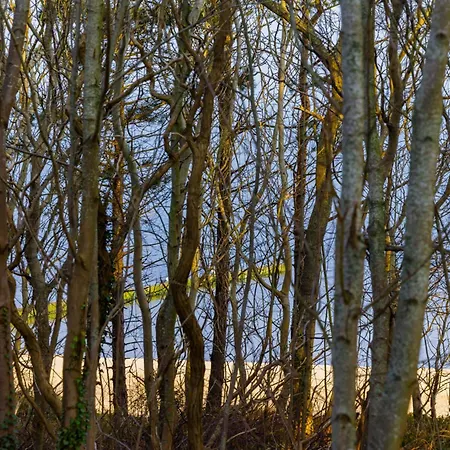 Apartmán Premium Baltic View-pinea Pobierowo-morze Na Wyciagniecie Reki!-dostep Do Strefy Basenow,saun I Jacuzzi-sannel For Rent Pobierowo